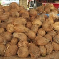 Fresh Coconut