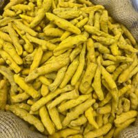 Turmeric Finger — Raw, Unprocessed Finger Turmeric