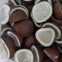 Dried Coconut (Copra)